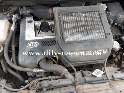 Motor Kia Carens 2,0 D4EA